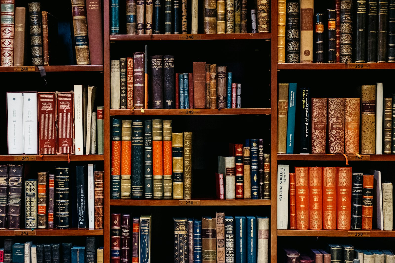 An antique library of leather-bound volumes